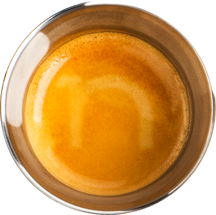 nomious espresso cup filled with coffee